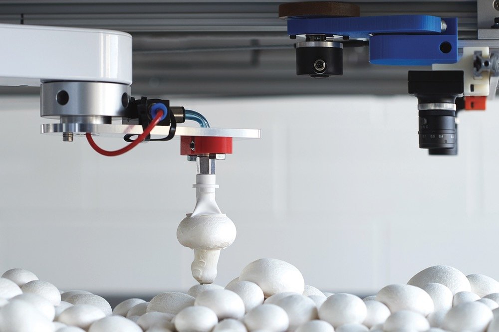 Researchers Develop Robot That Picks And Trims Mushrooms