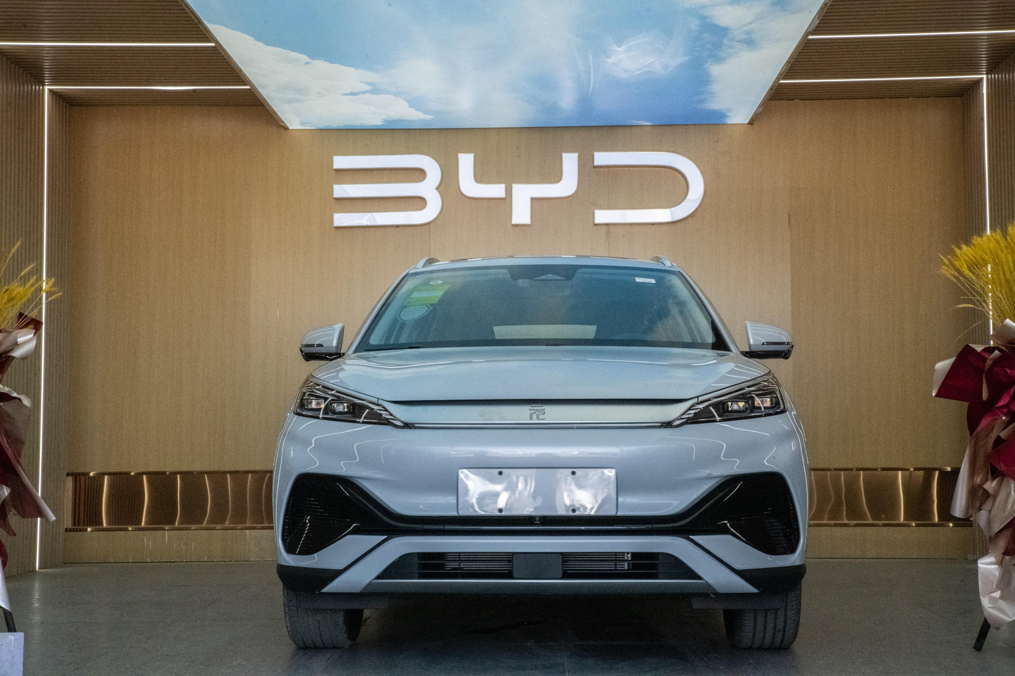 BYD's Remarkable Profit Surge and Electric Vehicle Triumph